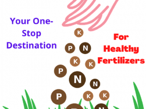 Your One-Stop Destination For Healthy Fertilizers