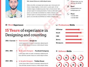 Professional Resume online creating