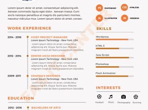 professional resume or cv create for job