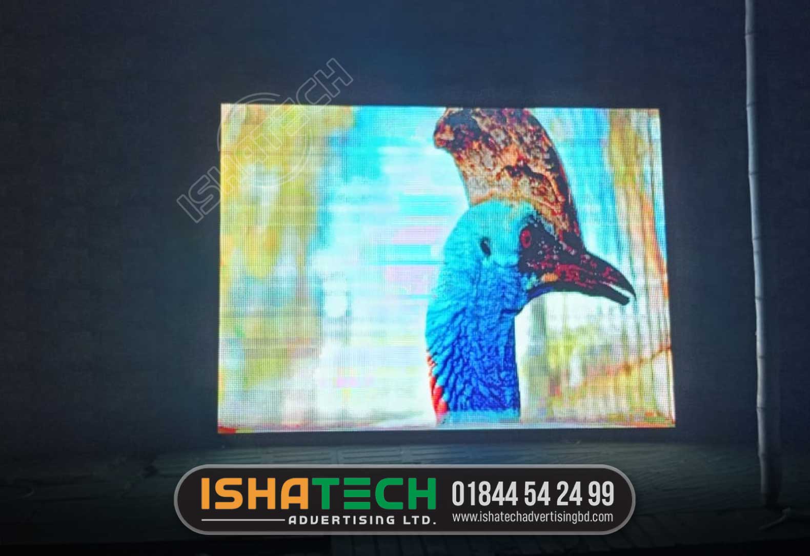 LED Screen Display Branding