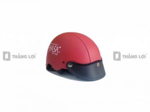 Dat mu bao hiem theo yeu cau Thang Loi