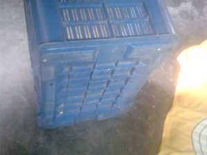 বড় সাইজ ফলের ঝুড়ি