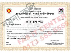 পঞ্চম/৫ম শ্রেণীর প্রত্যয়ন পত্র/সনদপত্র ২০২৫, ২০২৬