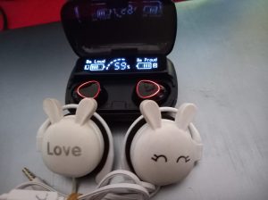 Lovely Rabbit Earphone and TWS M10 Earbuds Combo